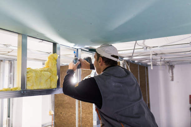 Best Fiberglass Insulation in Sylvania, AL