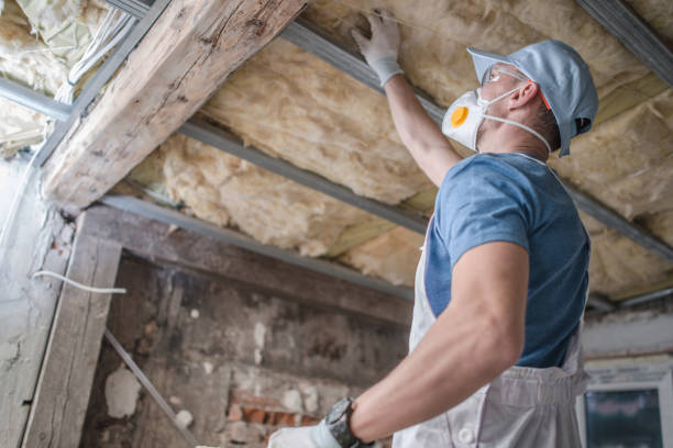 Best DIY Insulation Kits and Guidance in Sylvania, AL